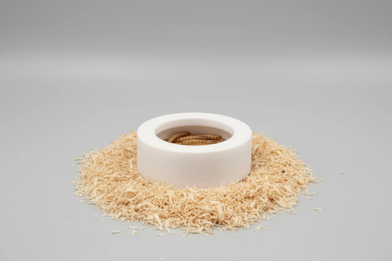 Small Escape-Proof Mealworm Dish