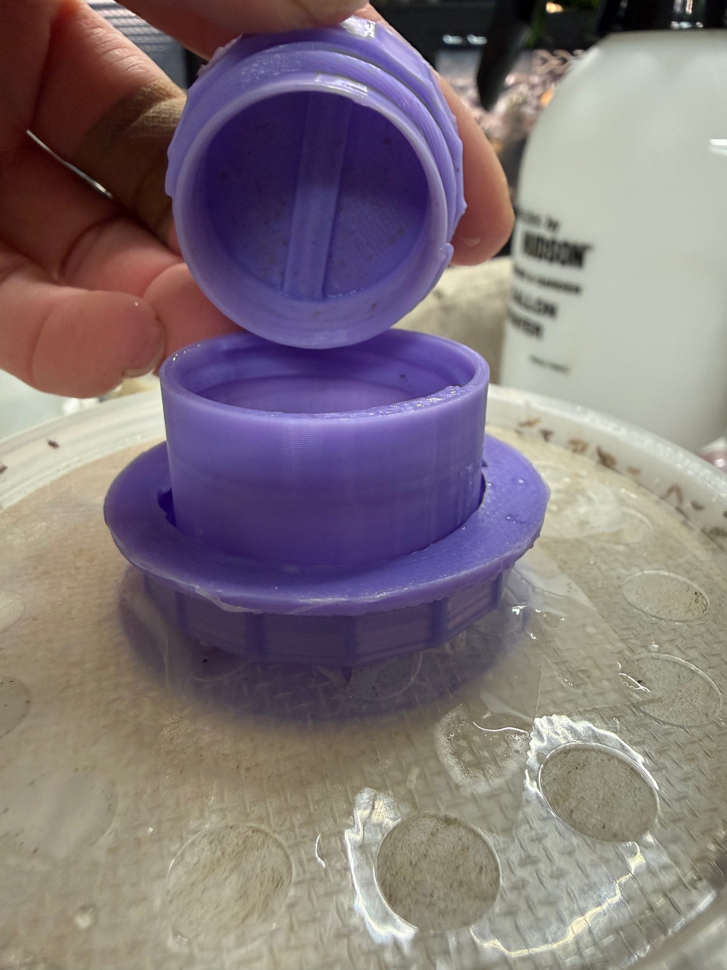 Easy Feed Fruit Fly Culture Lid spout
