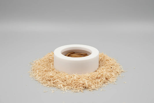 Small Escape-Proof Mealworm Dish