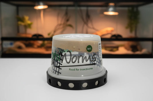 Hornworm Cup lift