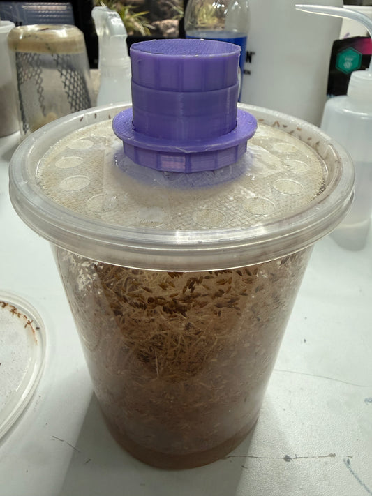 Easy Feed Fruit Fly Culture Lid spout